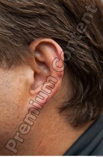Ear texture of street references 347 0001